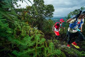 BIB: 
                            <button type="button" onclick="openModal(26196678)" class="btn btn-primary btn-sm float-right btn-popup" data-toggle="modal" data-target=".modal-high-quality">
                        <i class="fas fa-shopping-cart"></i> Add to Cart
                    </button>
                                            <button type="button" onclick="isThisMe(26196678, true)" class="btn btn-success btn-sm float-right btn-popup btn-isme hidden" data-toggle="tooltip" data-placement="bottom" title="นี่คือรูปของคุณใช่ไหม คลิกที่นี่เพื่อเอาเข้าอัลบั้ม">
                        <i class="fas fa-plus"></i> Add to album
                    </button>
                    <button type="button" onclick="isThisMe(26196678, false)" class="btn btn-warning btn-sm float-right btn-popup btn-isnotme hidden">
                        <i class="fas fa-ban"></i> Remove from album
                    </button>